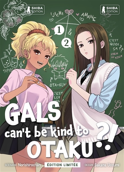 Couverture_Gals can't be kind to otaku ?!