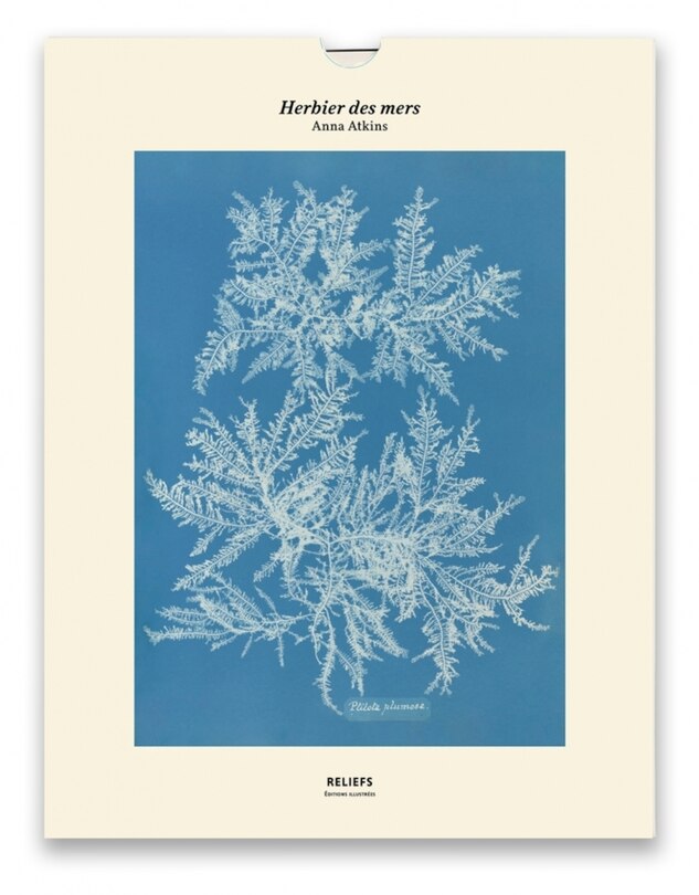 Couverture_Herbier des mers