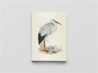 Couverture_Oiseaux d'Europe