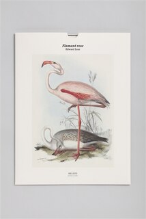 Front cover_Flamant rose