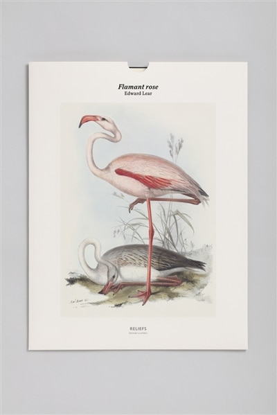 Front cover_Flamant rose