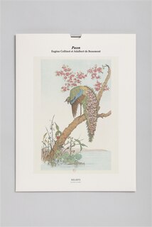 Front cover_Paon