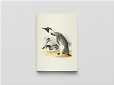 Couverture_Erebus et Terror en Antarctique