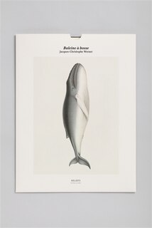 Front cover_Baleine à bosse