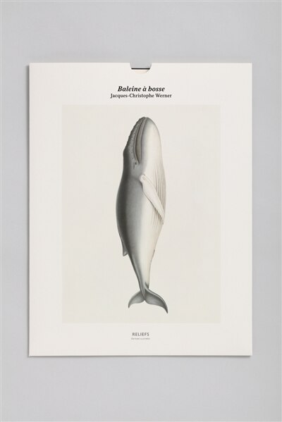 Front cover_Baleine à bosse