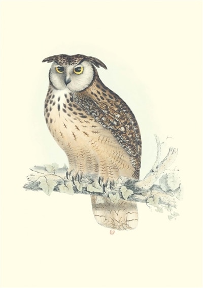 Couverture_Oiseaux de l'Himalaya
