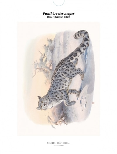 Couverture_Panthère des neiges
