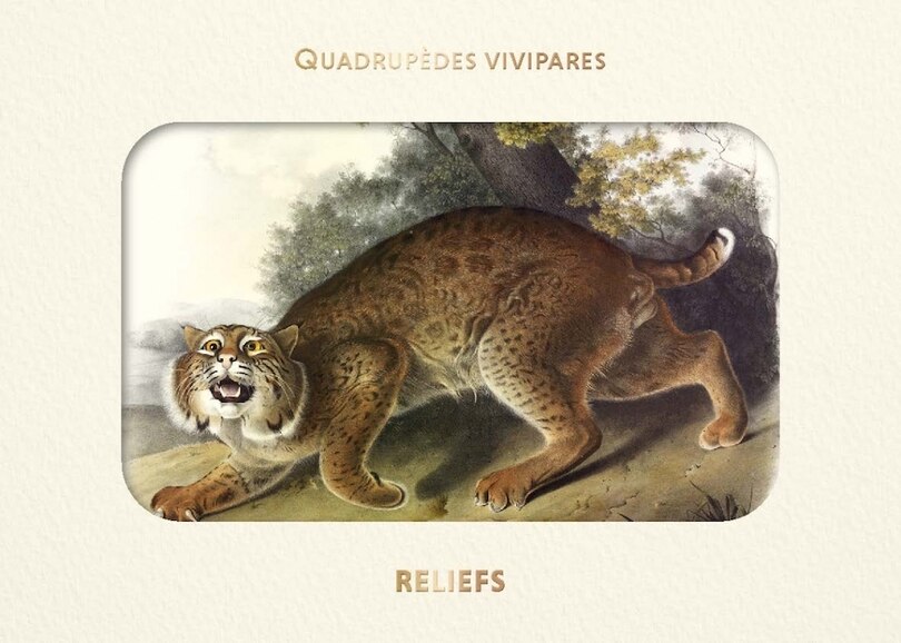Couverture_Quadrupèdes vivipares d'Amérique