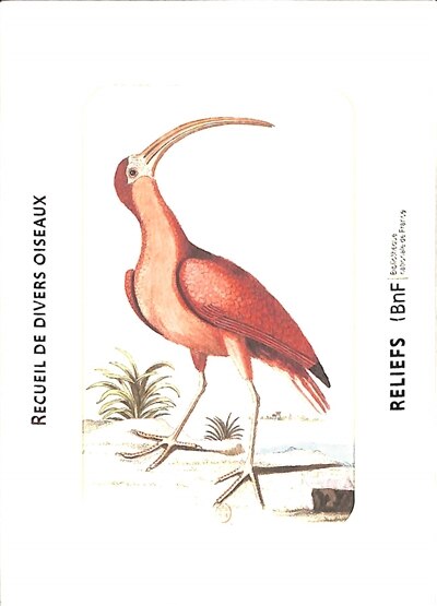 Front cover_Recueil de divers oiseaux