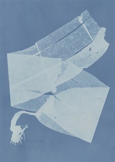 Couverture_Herbier des mers