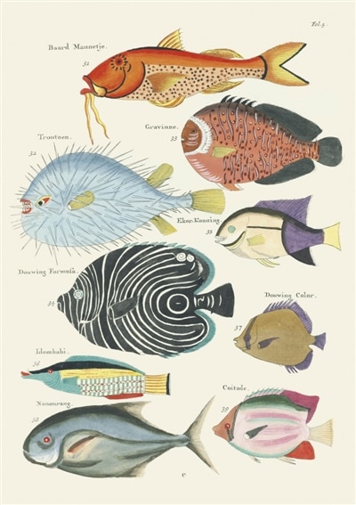 Couverture_Poissons, écrevisses et crabes