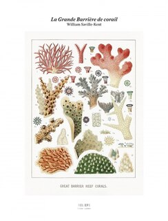 Front cover_La grande barrière de corail