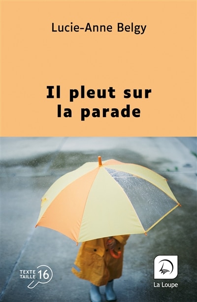 Couverture_Il pleut sur la parade