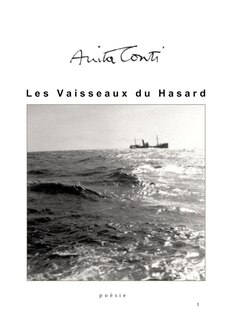 Couverture_Les vaisseaux du hasard