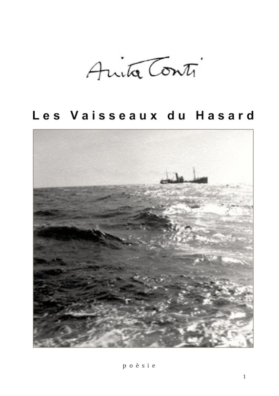 Couverture_Les vaisseaux du hasard