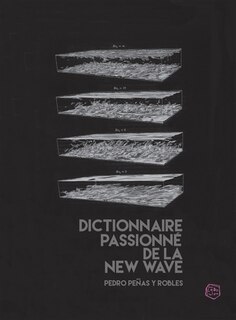 Couverture_Dictionnaire passionné de la new wave