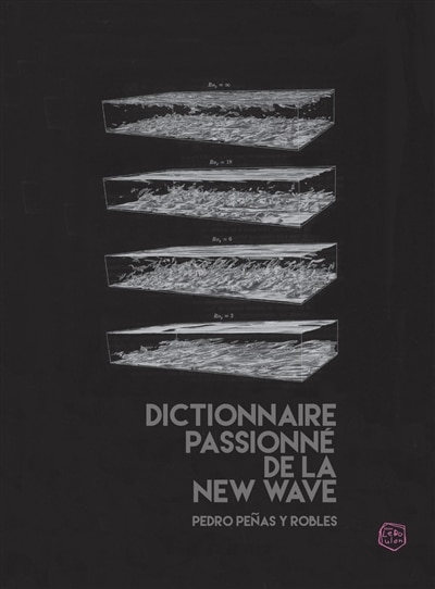 Couverture_Dictionnaire passionné de la new wave