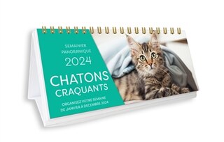Couverture_Chatons craquants 2024