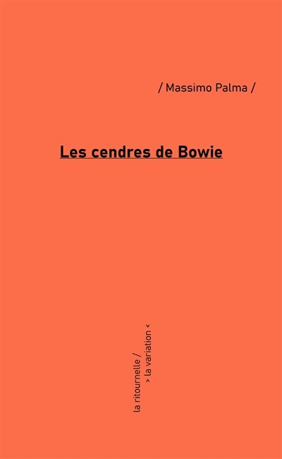 Couverture_Les cendres de Bowie