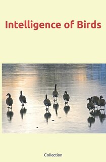 Front cover_Intelligence of Birds