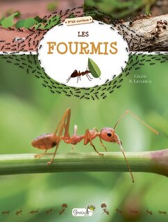 Couverture_Les fourmis