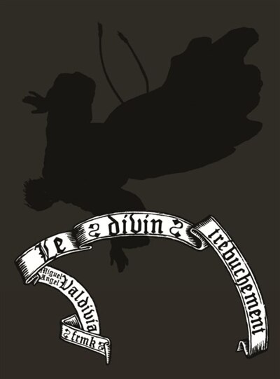 Front cover_Le divin trébuchement