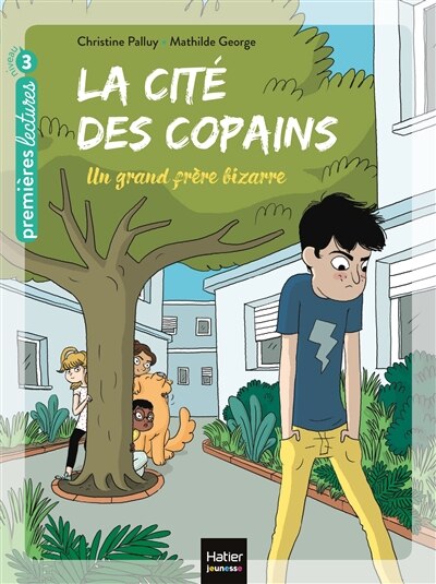 Front cover_Un grand frère bizarre