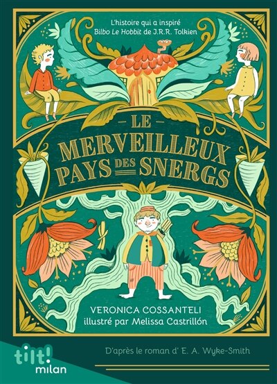 Couverture_Le merveilleux pays des Snergs