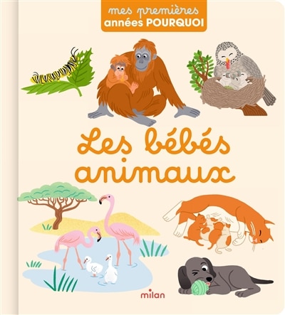 Front cover_Les b&eacute;b&eacute;s animaux
