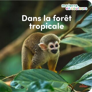 Front cover_Dans la for&ecirc;t tropicale