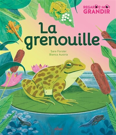 Couverture_La grenouille