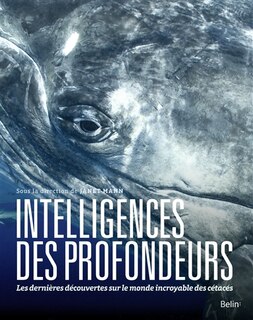 Couverture_Intelligences des profondeurs : dans la tête des baleines, dauphins, et marsouins