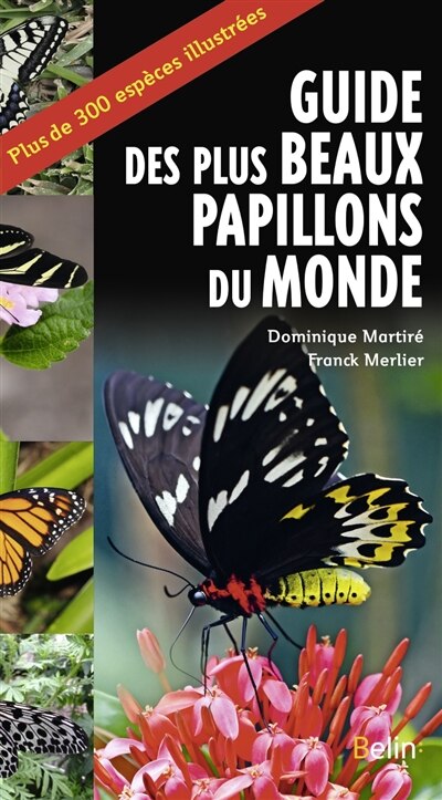 Front cover_Guide des plus beaux papillons du monde