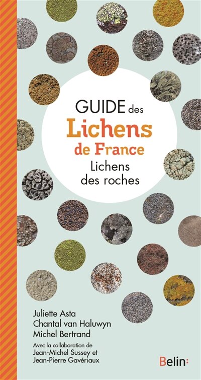 Front cover_Lichens des roches