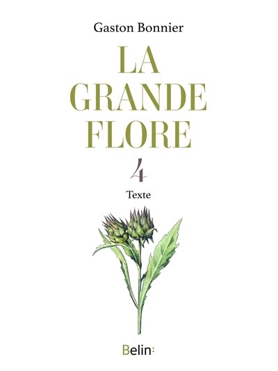 Texte