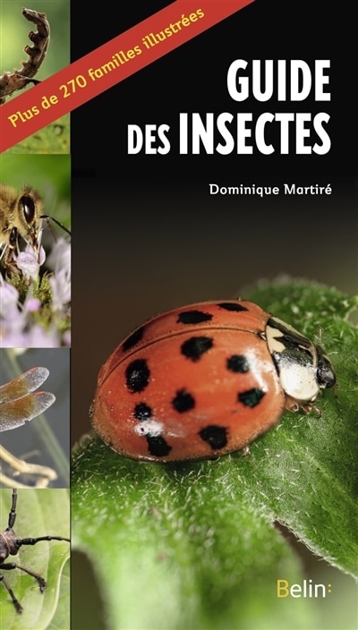 Couverture_Guide des insectes : plus de 270 familles illustrées