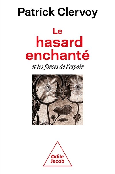 Couverture_Le hasard enchanté