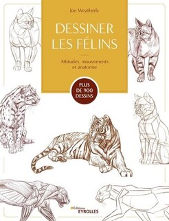 Front cover_Dessiner les félins