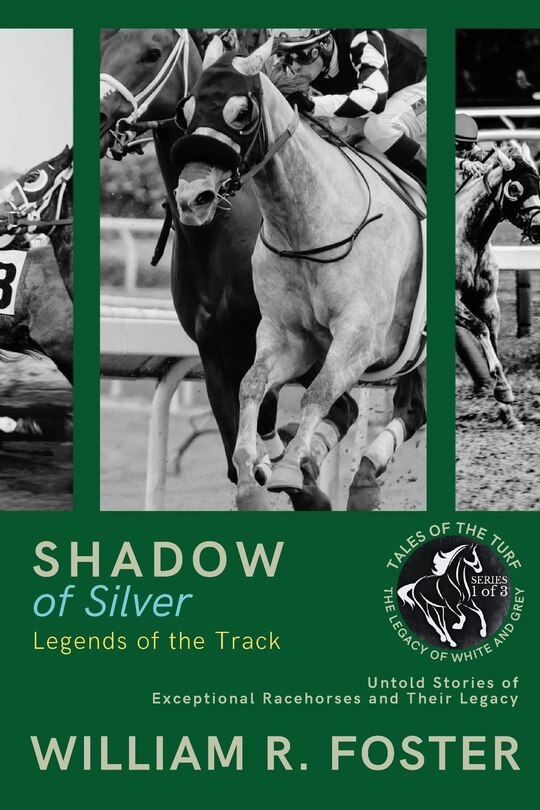 Front cover_Shadows of Silver