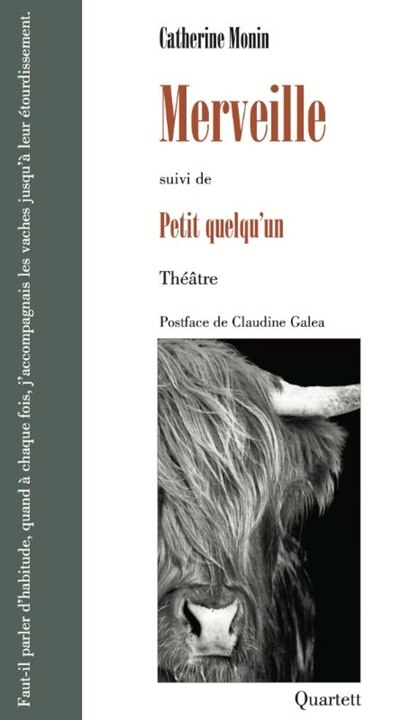 Couverture_Merveille ; Petit quelqu'un