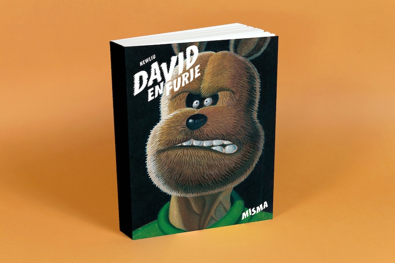 Front cover_David en furie