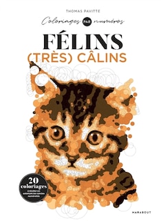 Front cover_Colo by number