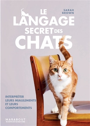 Le langage secret des chats: interpréter leurs miaulements et leurs comportements