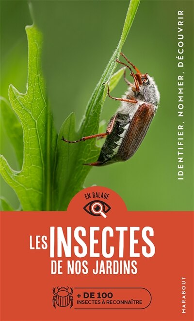 Les insectes de nos jardins: + de 100 insectes à reconnaître