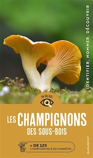 Les champignons des sous-bois: + de 125 champignons à reconnaître