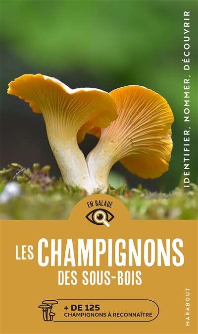 Les champignons des sous-bois: + de 125 champignons à reconnaître
