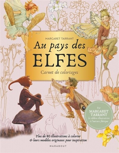 Couverture_Au pays des elfes
