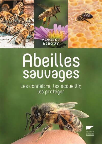 Front cover_Abeilles sauvages : les connaître, les accueillir, les protéger
