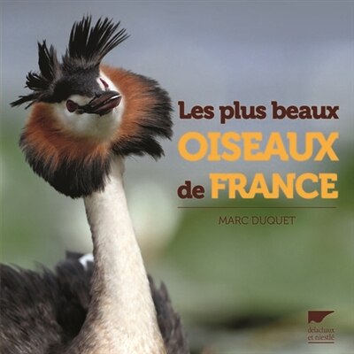 Couverture_Les plus beaux oiseaux de France