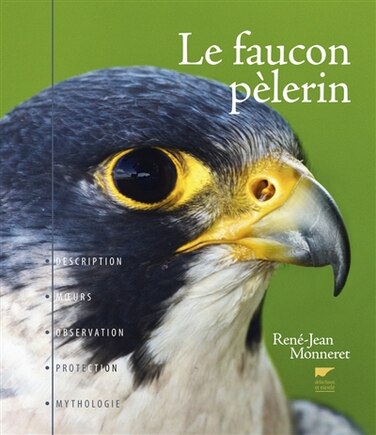 Le faucon pèlerin: description, moeurs, observation, protection, mythologie